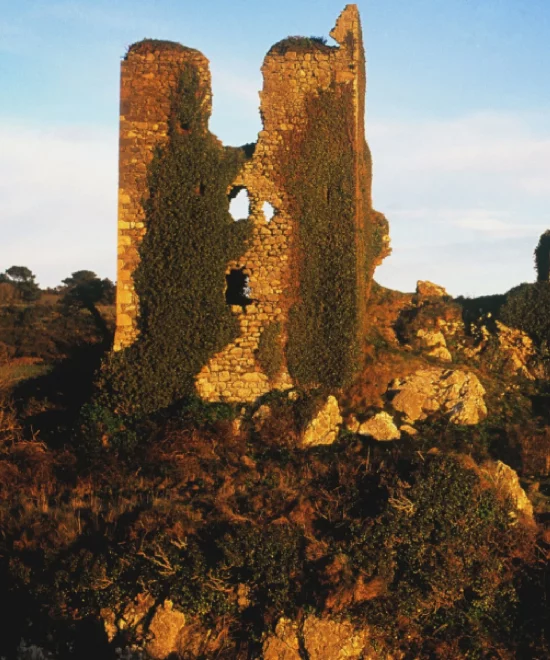 Amidst the rocky landscape of the Copper Coast UNESCO Geopark, ancient stone tower ruins draped in ivy rise majestically at sunset, with a clear blue sky as their backdrop.