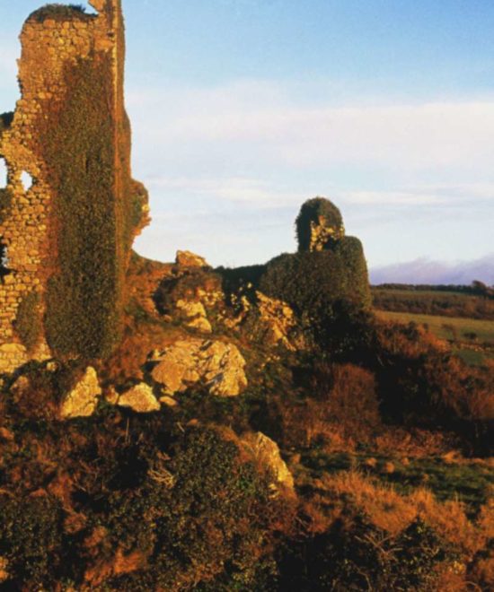 Ruins of the ancient Dunhill Castle, covered in ivy, stand majestically against a backdrop of rolling hills and a blue sky. Nestled on the picturesque Copper Coast, the landscape is bathed in warm, golden sunlight, highlighting the rugged textures of the stones and lush vegetation.