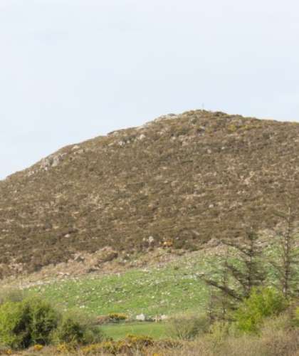 A hill covered with brown and green vegetation under a cloudy sky evokes the serene beauty of Copper Coast. Sparse greenery is visible at the base, with patches of grass and small bushes along the slope, reminiscent of Fenor Bog's tranquil charm. The horizon is slightly visible behind the hill.