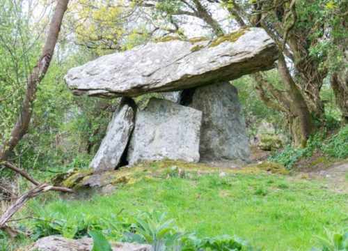 Nestled in a lush green forest clearing, the Gaulstown Dolmen stands as a prehistoric stone structure along the picturesque Copper Coast. Large flat stones form this small portal tomb, framed by trees with vibrant green leaves under a clear sky.