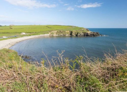 A scenic view of Kilmurrin Cove on the Copper Coast reveals calm blue waters and rugged cliffs. In the foreground, dry plants and grasses overlook the beach, while green fields stretch across the headland under a clear blue sky.