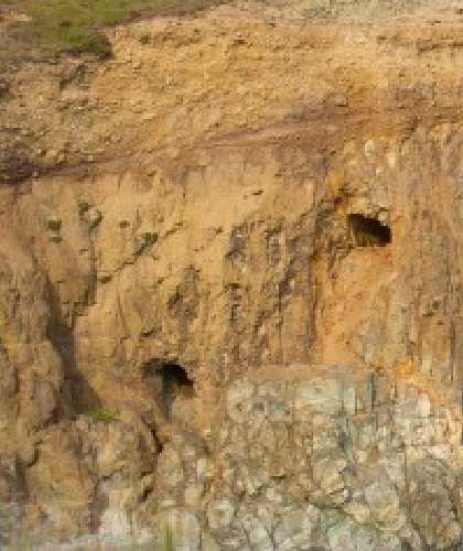 A rock face at Knockmahon Cove reveals two small cave openings. The rugged, earthy surface displays layers of soil and stone. These stacked caves, set vertically atop one another, are framed by textured rock formations.